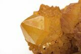Sunshine Cactus Quartz Crystal Cluster - South Africa #212685-2